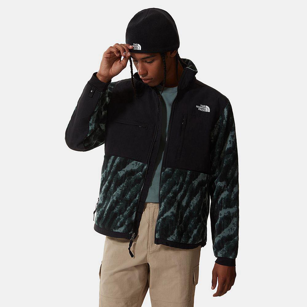 The North Face Printed Denali 2 Ανδρικα Μπουφάν Fleece - Πρασινο (KJOH52789)